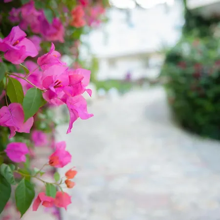 Apartment Bougainville Bay *