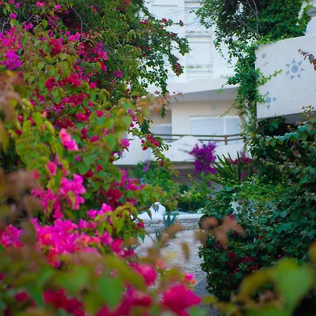 Apartment Bougainville Bay