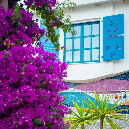 Bougainville Bay *