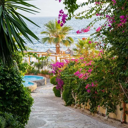 Apartment Bougainville Bay *